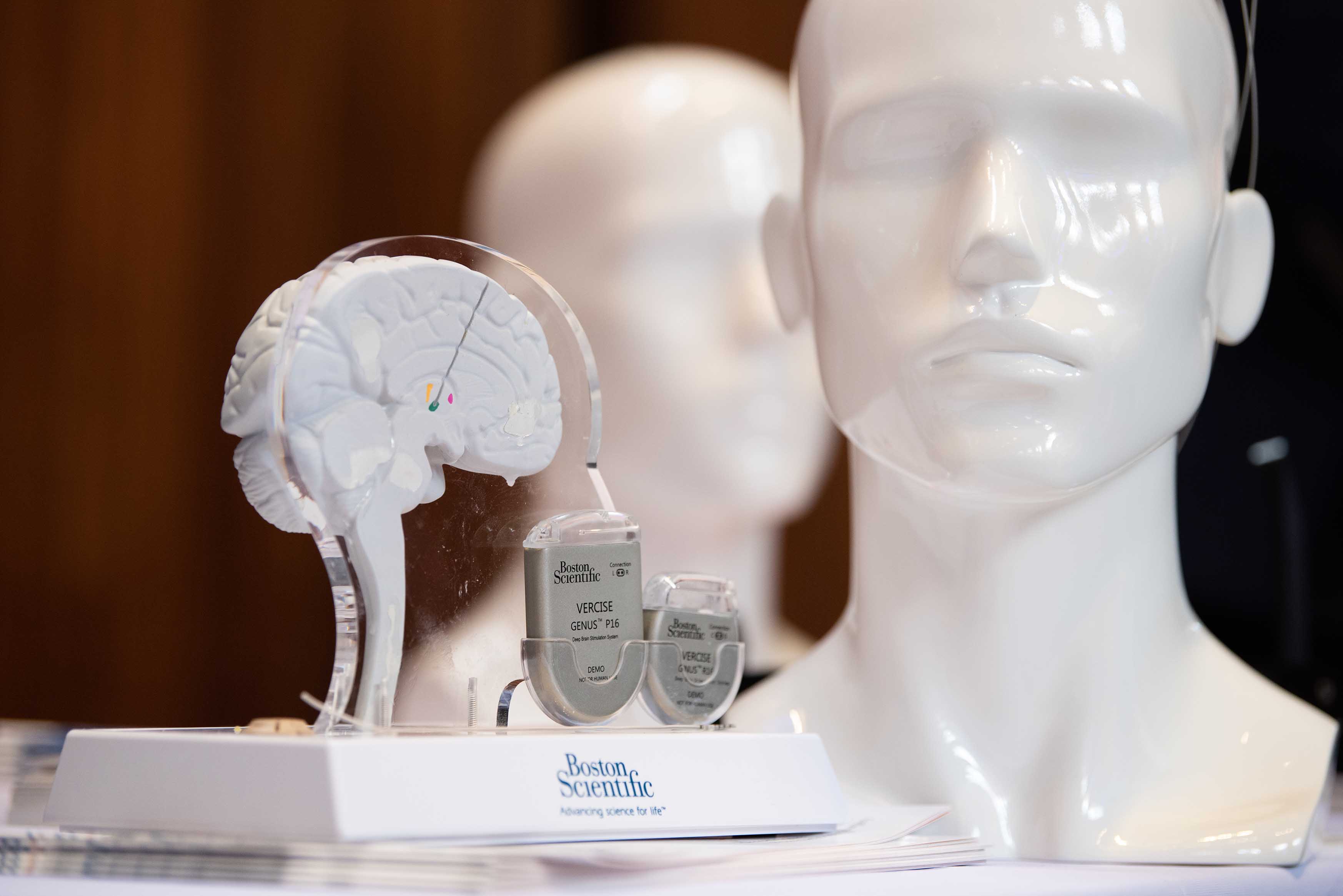 Human head reproductions